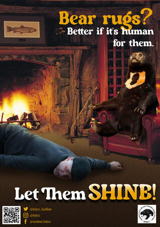 Sun Bear Awareness
